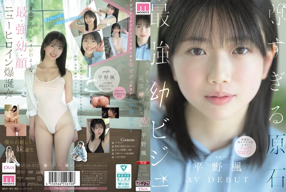 平野楓 (Hirano Kaede)：寫真集、片段與個人檔案