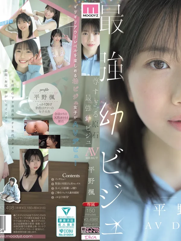 平野楓 (Hirano Kaede)：寫真集、片段與個人檔案
