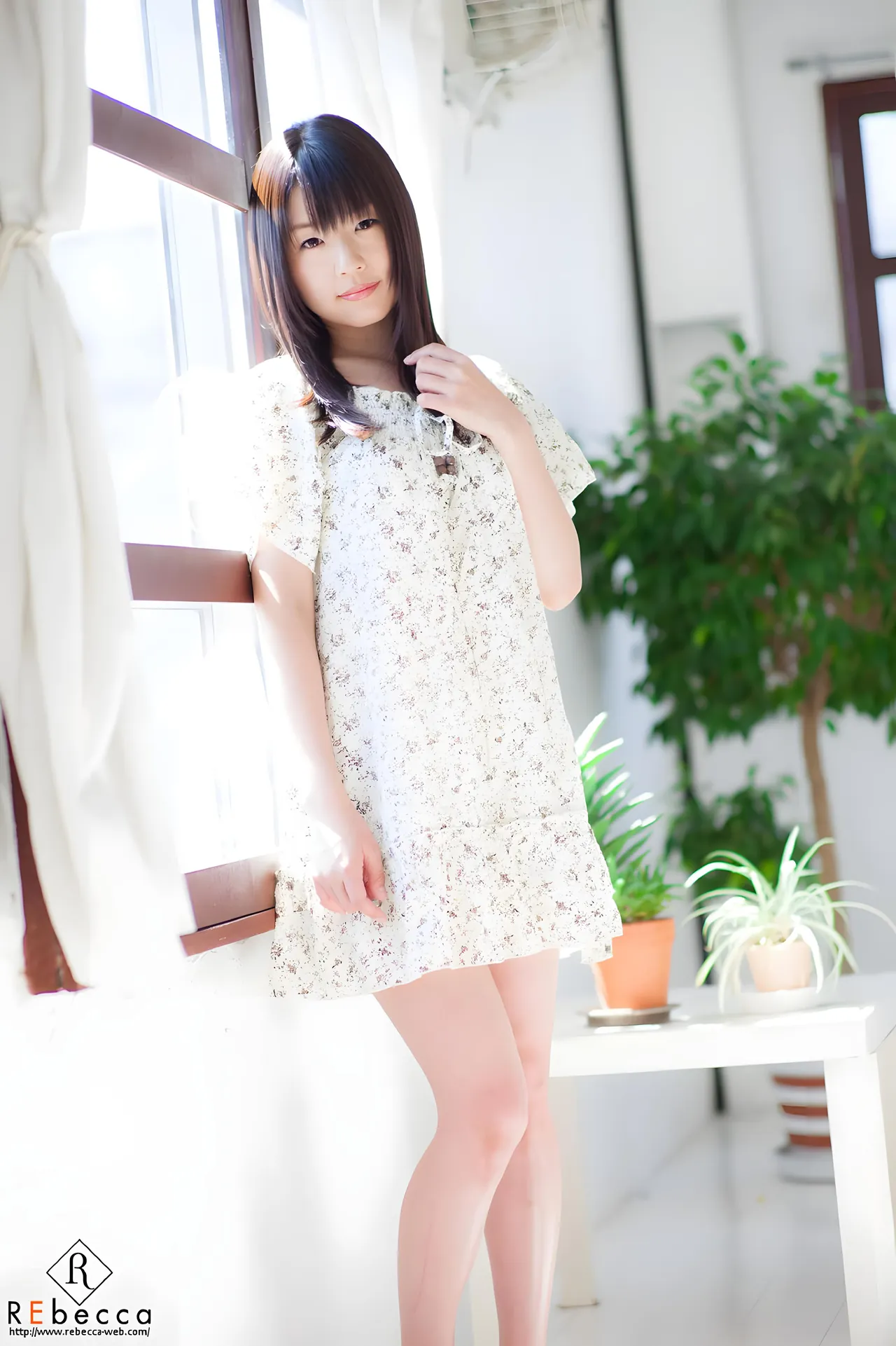 つぼみ (Tsubomi) 寫真